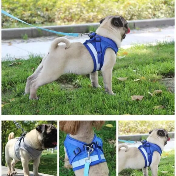BRAND NEW - BLUE SIZE L - Dog & Cat Adjustable Chest Pet Harness Vest Leash Set - Picture 3 of 7